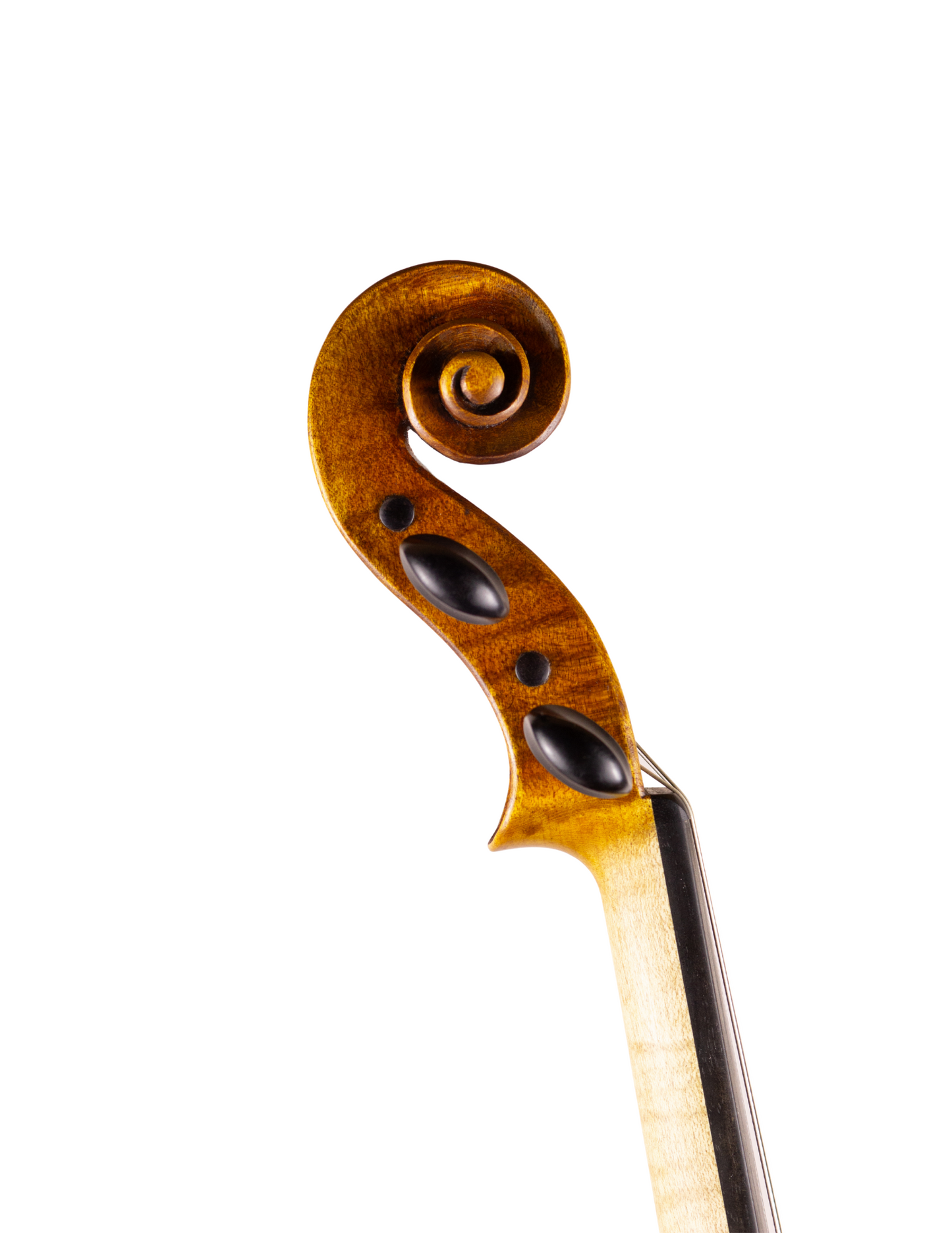JACOB BRILLHART VIOLIN