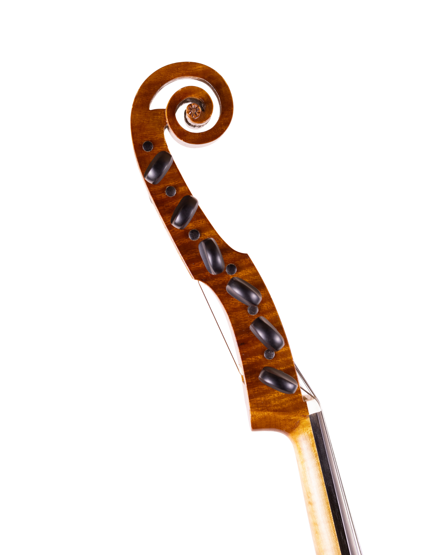 THOMAS COLEMAN - VIOLA D'AMORE