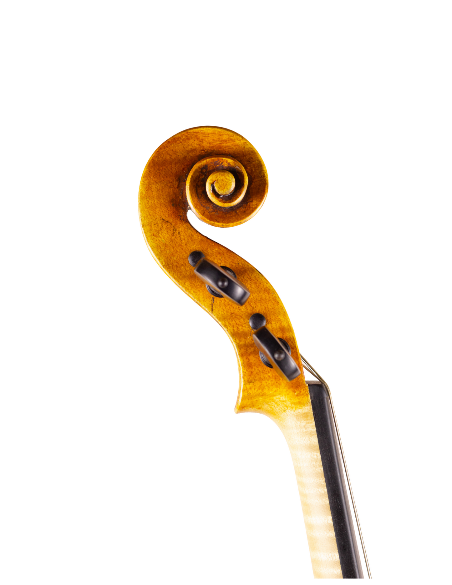 SOUTHERN VIOLIN ASSOCIATION VIOLIN