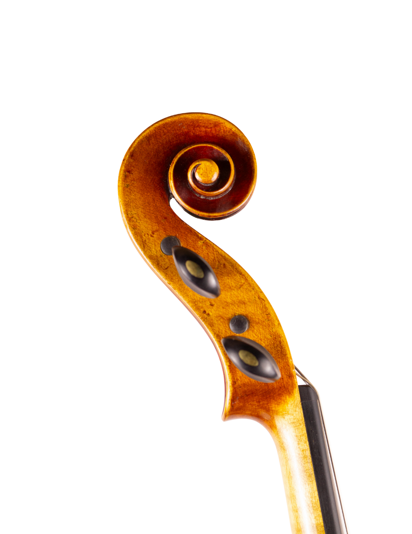 ENRICO ROBELLA VIOLIN