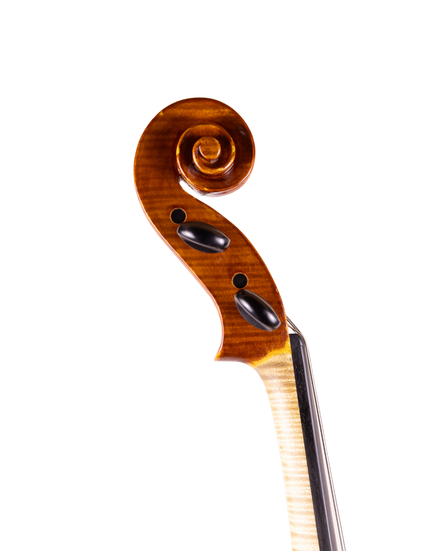 FREDA JANUARY - 16 1/2" VIOLA