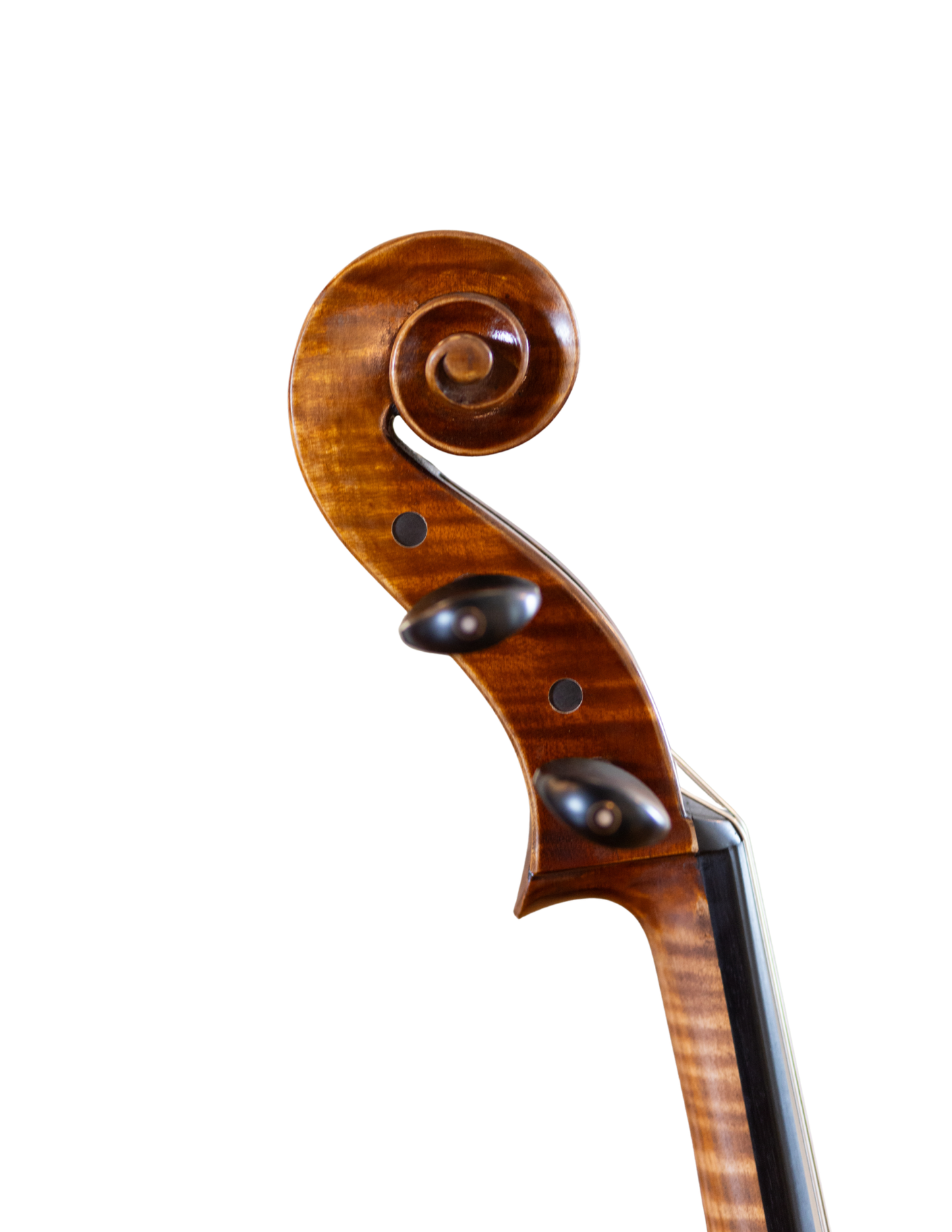 7/8 PAOLO LORENZO CELLO