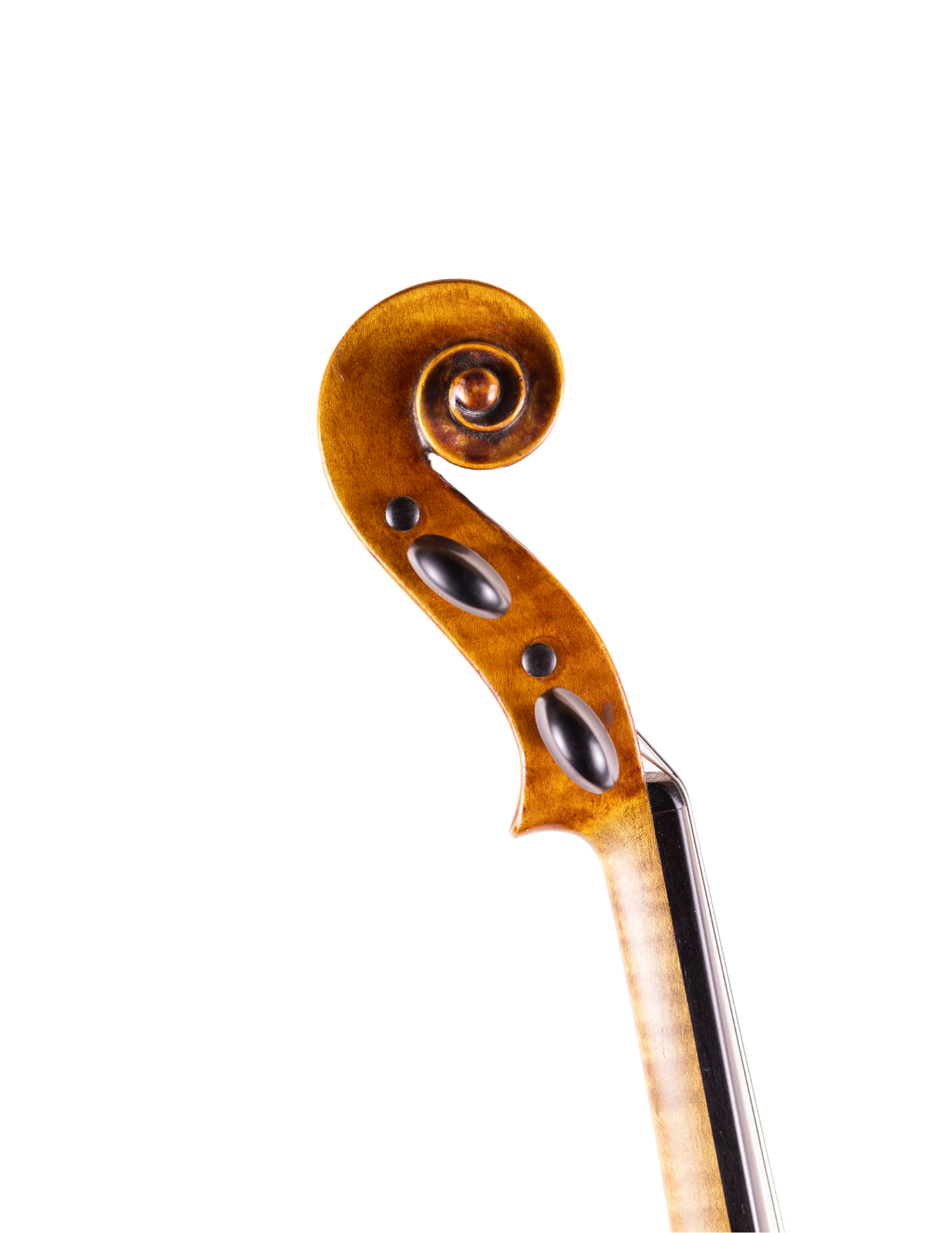VINCENZO MIROGLIO AND F. GLIO VIOLIN