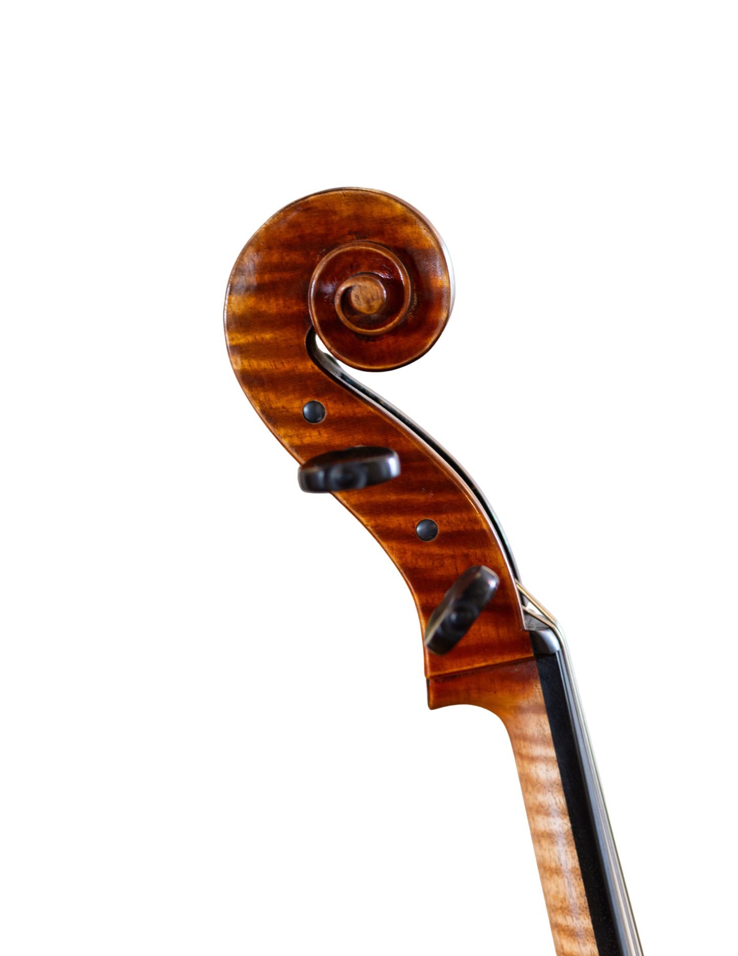 JAY HAIDE A L'ANCIENNE RUGGIERI MODEL CELLO