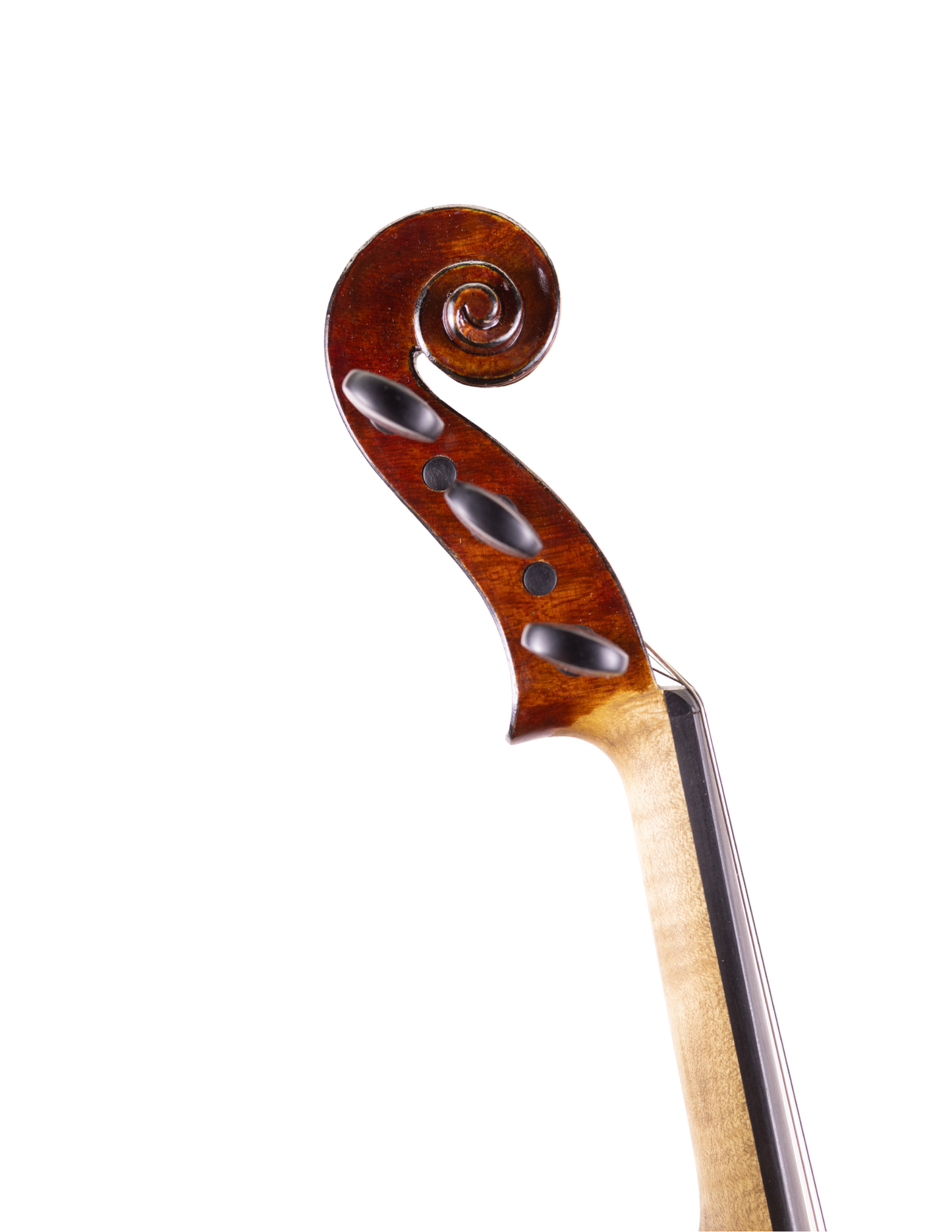 ANNA SANDYS 5-STRING VIOLIN
