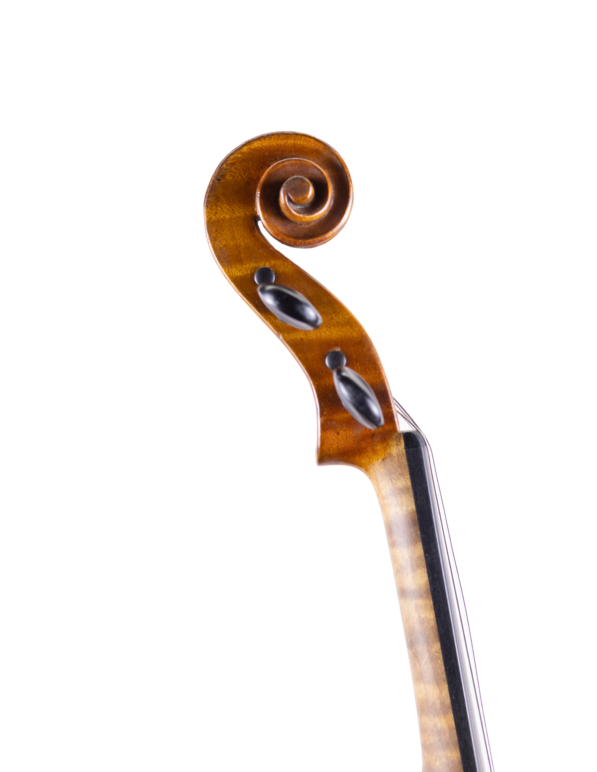 ALFRED LANINI VIOLIN