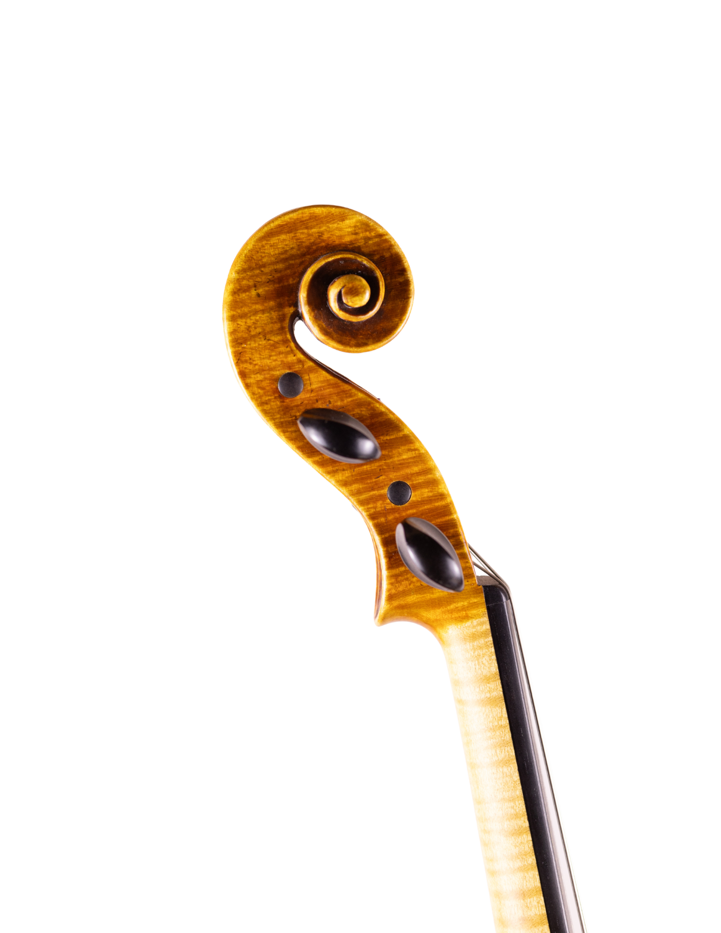 ANDREW CARRUTHERS VIOLIN