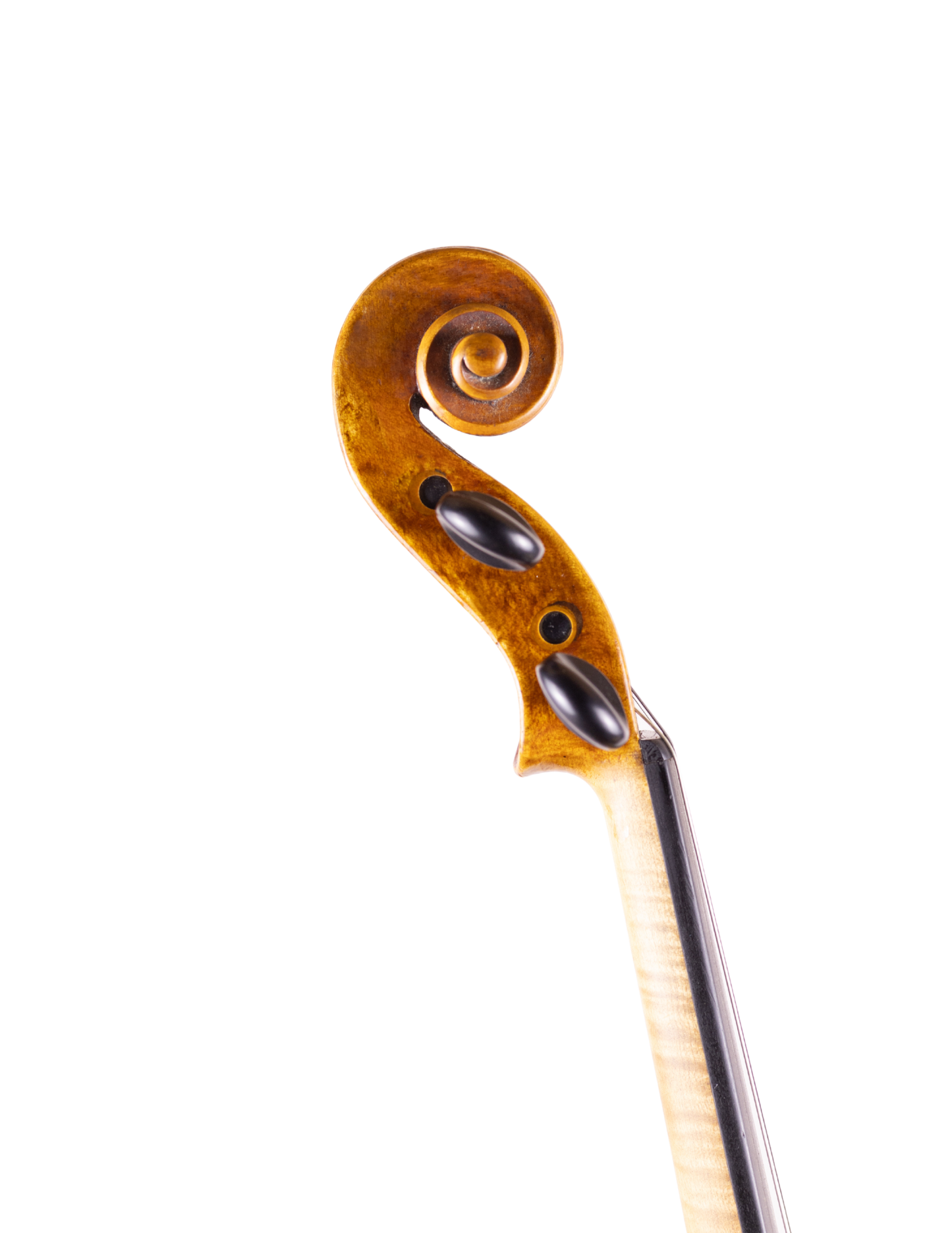 SAXON VIOLIN