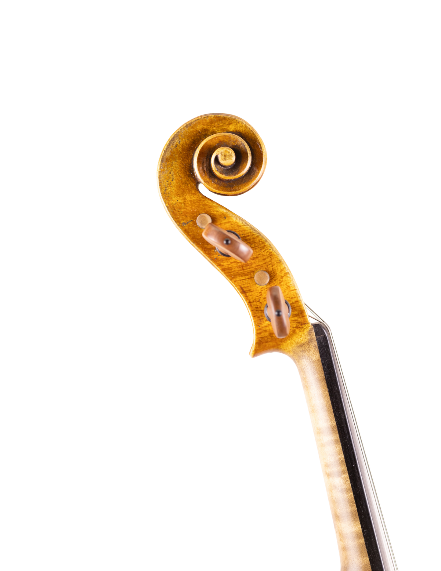 SARA DELIBERATO VIOLIN